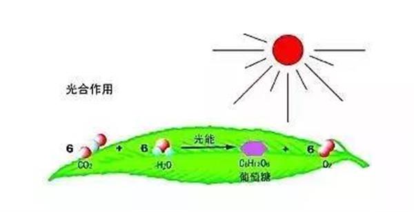 微信圖片_20210118181929.jpg